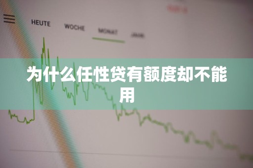为什么任性贷有额度却不能用