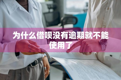 为什么借呗没有逾期就不能使用了