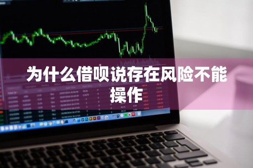 为什么借呗说存在风险不能操作