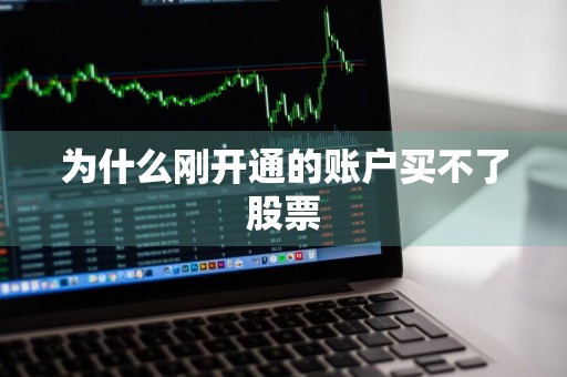 为什么刚开通的账户买不了股票