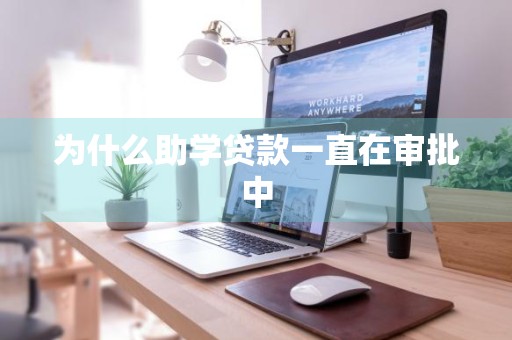 为什么助学贷款一直在审批中
