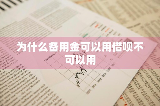 为什么备用金可以用借呗不可以用