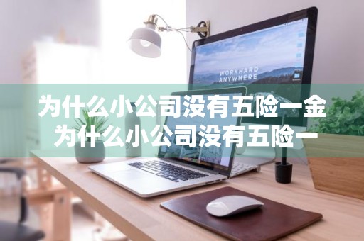 为什么小公司没有五险一金 为什么小公司没有五险一金犯法么