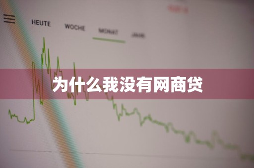 为什么我没有网商贷