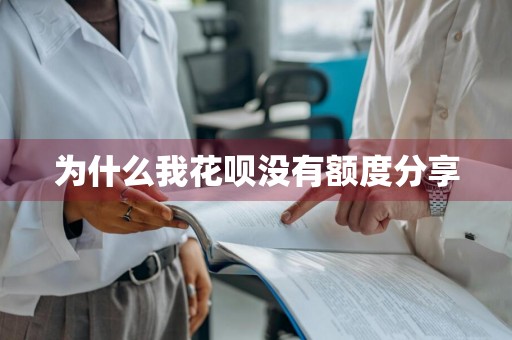 为什么我花呗没有额度分享