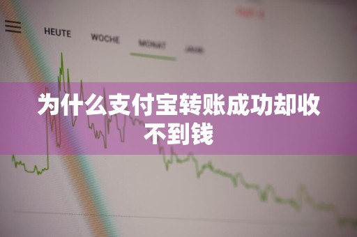 为什么支付宝转账成功却收不到钱