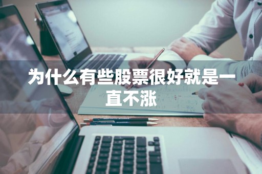 为什么有些股票很好就是一直不涨