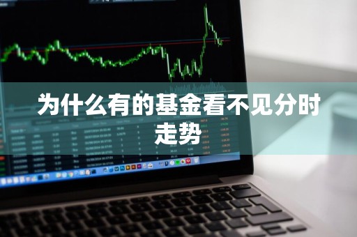 为什么有的基金看不见分时走势