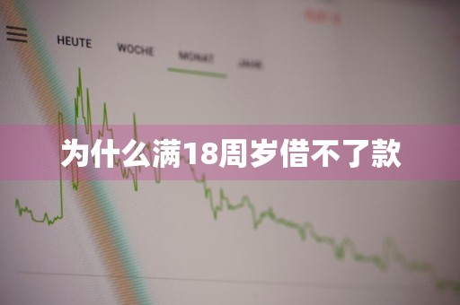 为什么满18周岁借不了款