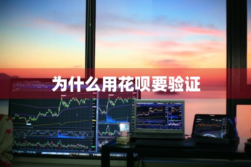 为什么用花呗要验证