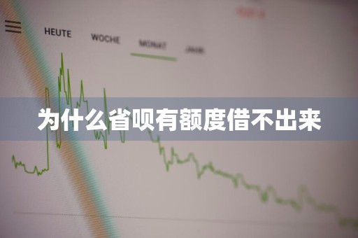为什么省呗有额度借不出来