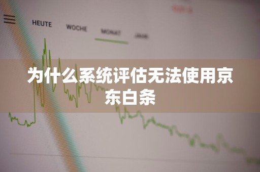 为什么系统评估无法使用京东白条