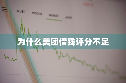 为什么美团借钱评分不足