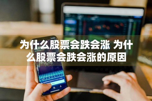 为什么股票会跌会涨 为什么股票会跌会涨的原因