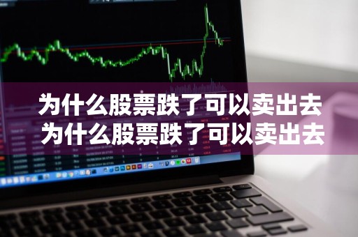 为什么股票跌了可以卖出去 为什么股票跌了可以卖出去呢