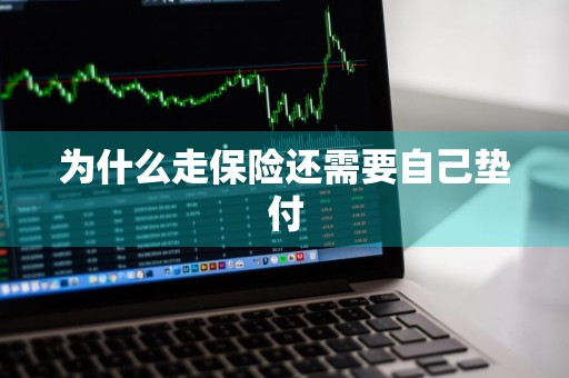 为什么走保险还需要自己垫付