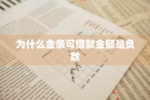 为什么金条可借款金额是负数