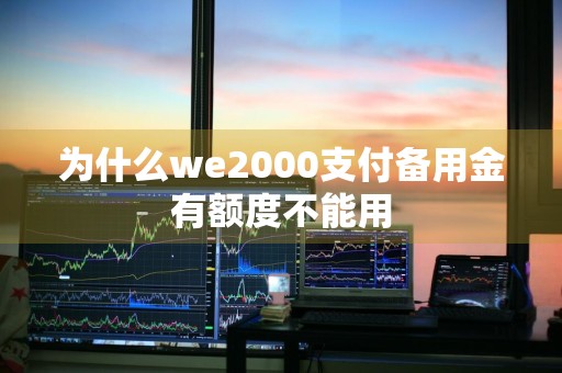 为什么we2000支付备用金有额度不能用