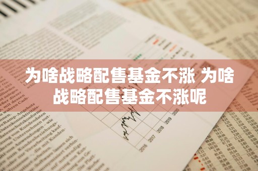 为啥战略配售基金不涨 为啥战略配售基金不涨呢