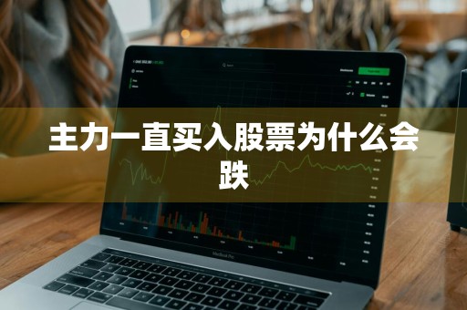 主力一直买入股票为什么会跌