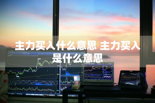 主力买入什么意思 主力买入是什么意思