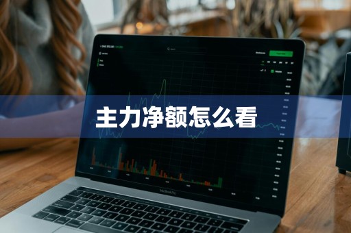主力净额怎么看