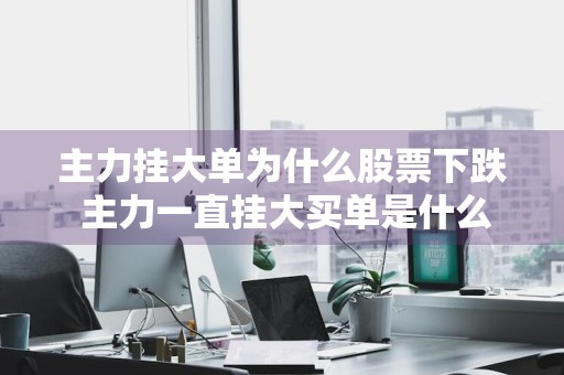 主力挂大单为什么股票下跌 主力一直挂大买单是什么意思