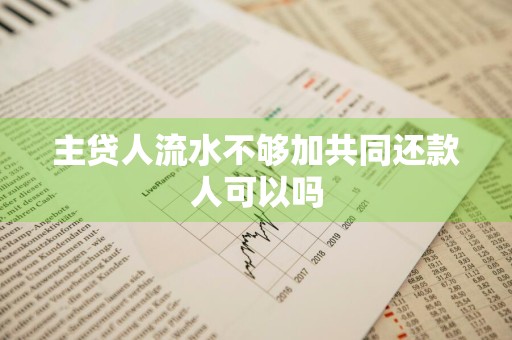 主贷人流水不够加共同还款人可以吗
