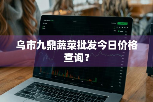 乌市九鼎蔬菜批发今日价格查询？