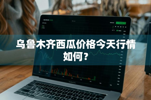 乌鲁木齐西瓜价格今天行情如何？