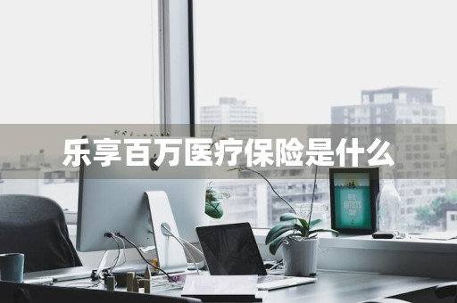 乐享百万医疗保险是什么