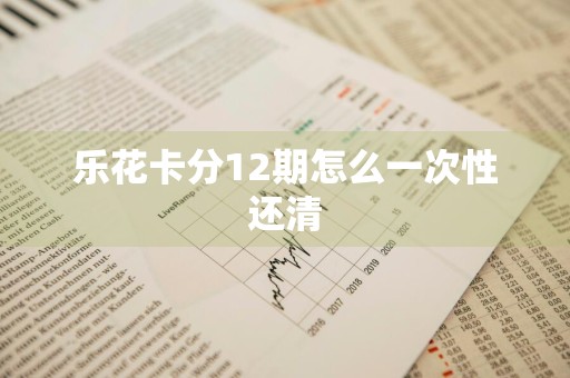 乐花卡分12期怎么一次性还清