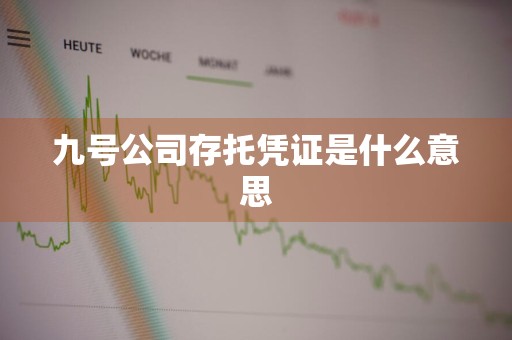 九号公司存托凭证是什么意思