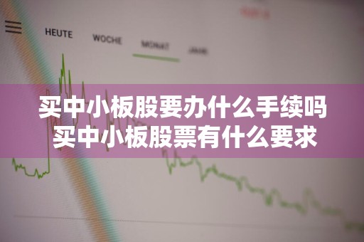 买中小板股要办什么手续吗 买中小板股票有什么要求