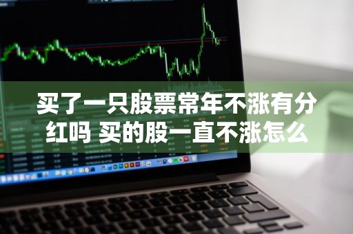 买了一只股票常年不涨有分红吗 买的股一直不涨怎么办