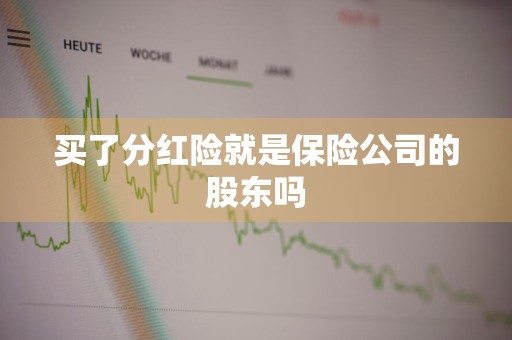 买了分红险就是保险公司的股东吗
