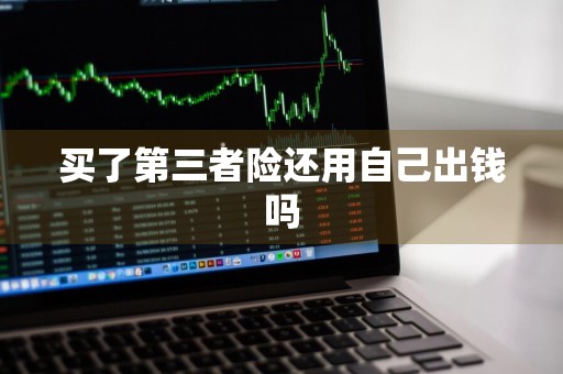 买了第三者险还用自己出钱吗