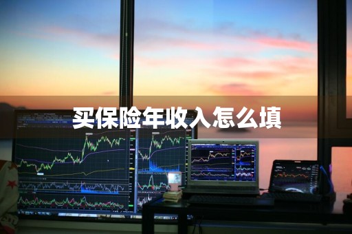 买保险年收入怎么填
