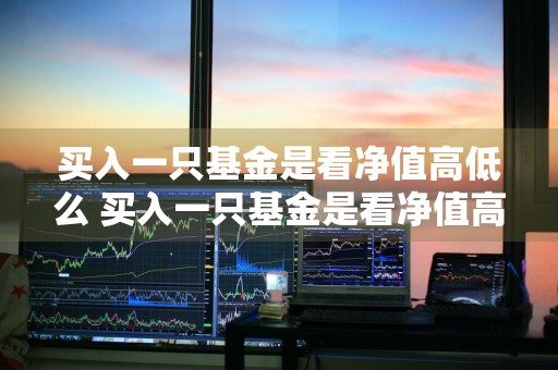 买入一只基金是看净值高低么 买入一只基金是看净值高低么吗