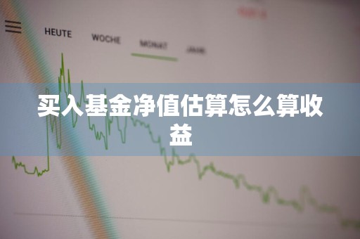 买入基金净值估算怎么算收益