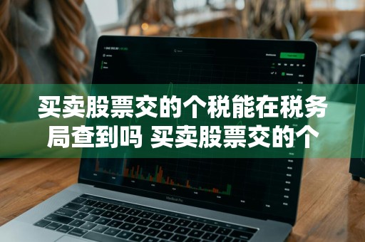 买卖股票交的个税能在税务局查到吗 买卖股票交的个税能在税务局查到吗