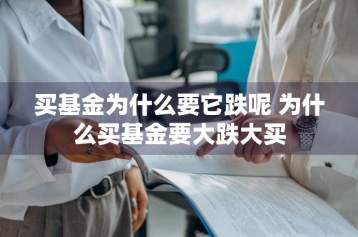 买基金为什么要它跌呢 为什么买基金要大跌大买