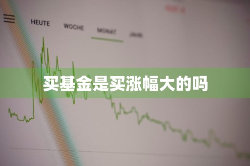 买基金是买涨幅大的吗