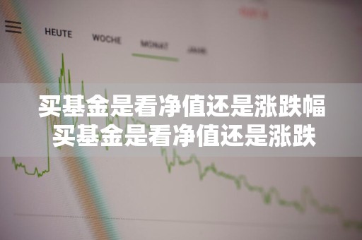 买基金是看净值还是涨跌幅 买基金是看净值还是涨跌幅的