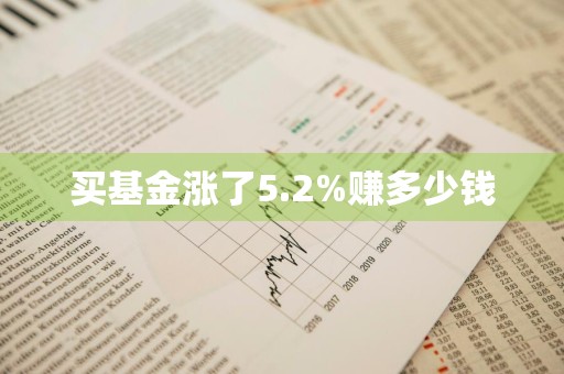 买基金涨了5.2%赚多少钱