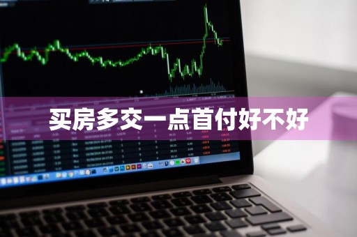 买房多交一点首付好不好