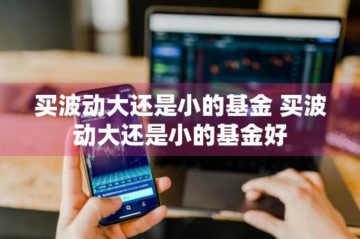 买波动大还是小的基金 买波动大还是小的基金好