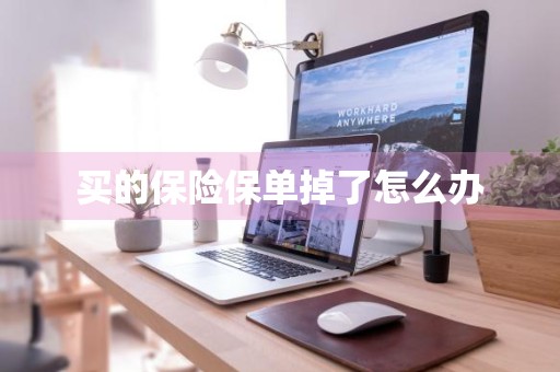 买的保险保单掉了怎么办