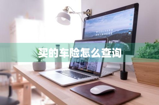 买的车险怎么查询