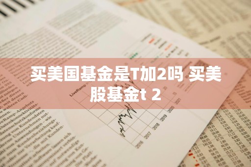 买美国基金是T加2吗 买美股基金t+2